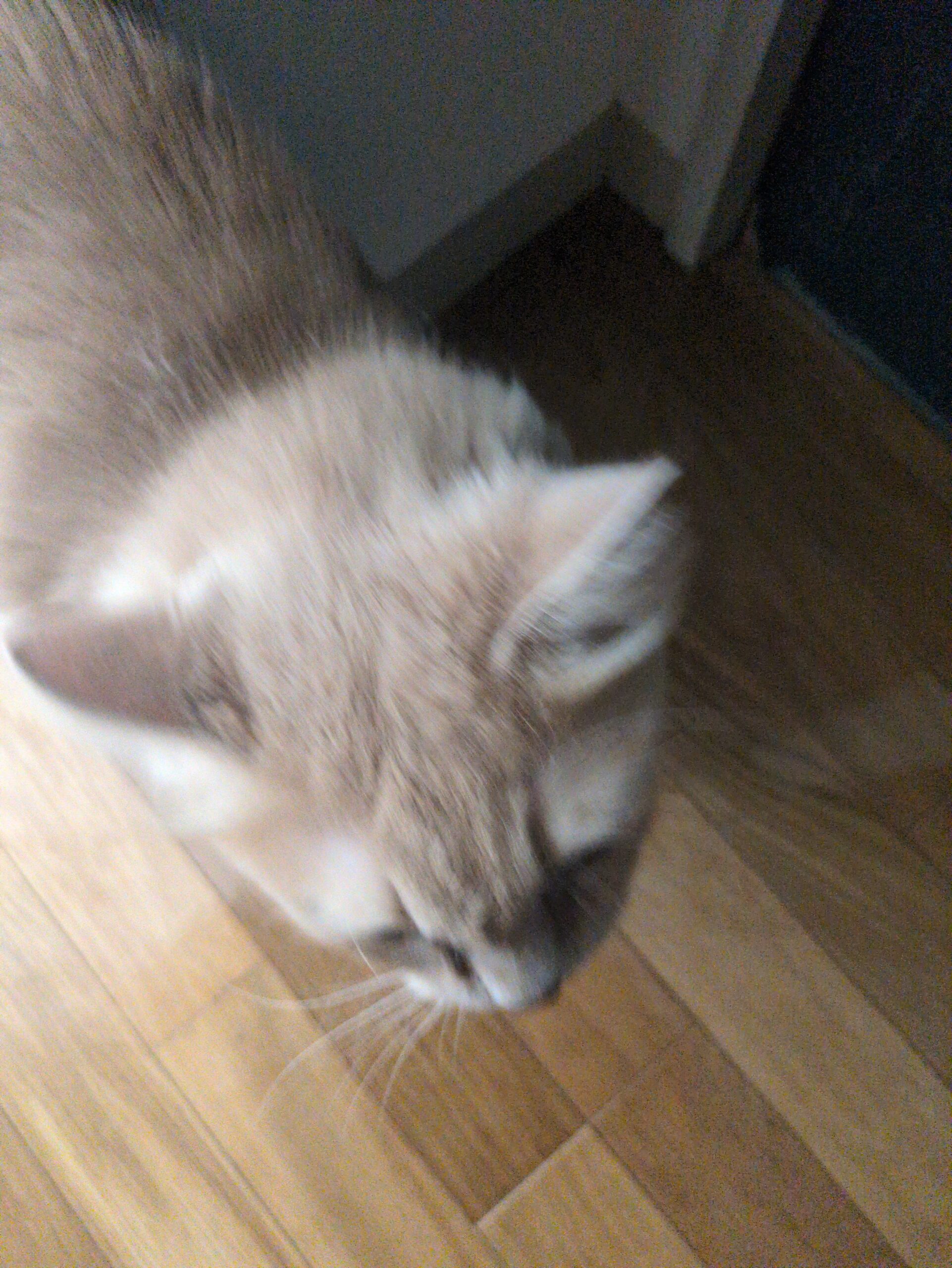 投稿サムネイル
