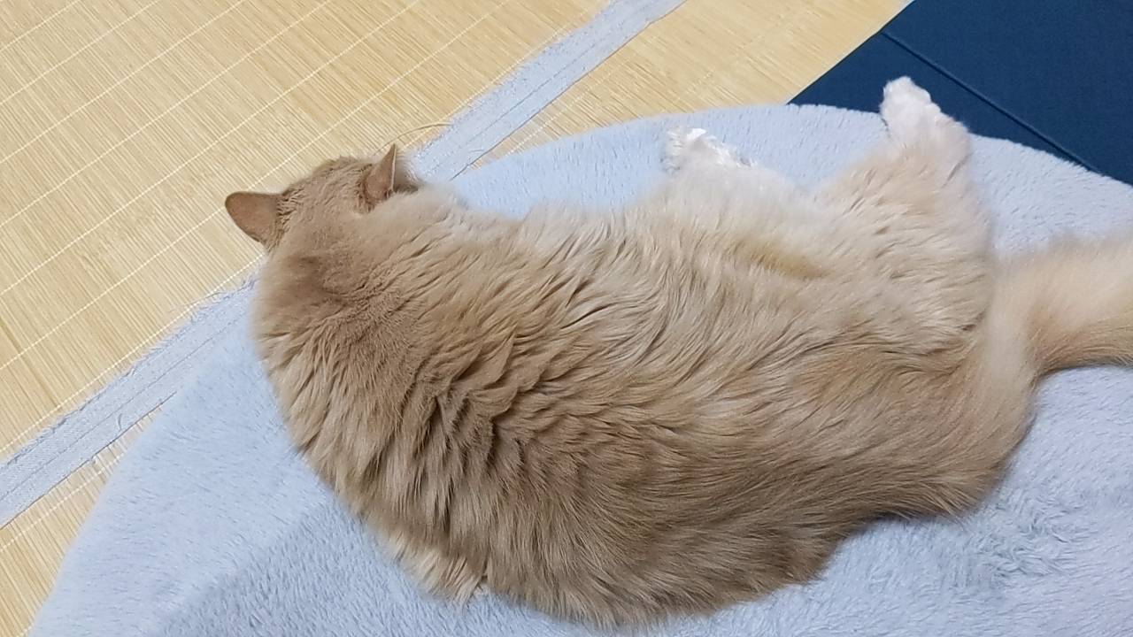 投稿サムネイル