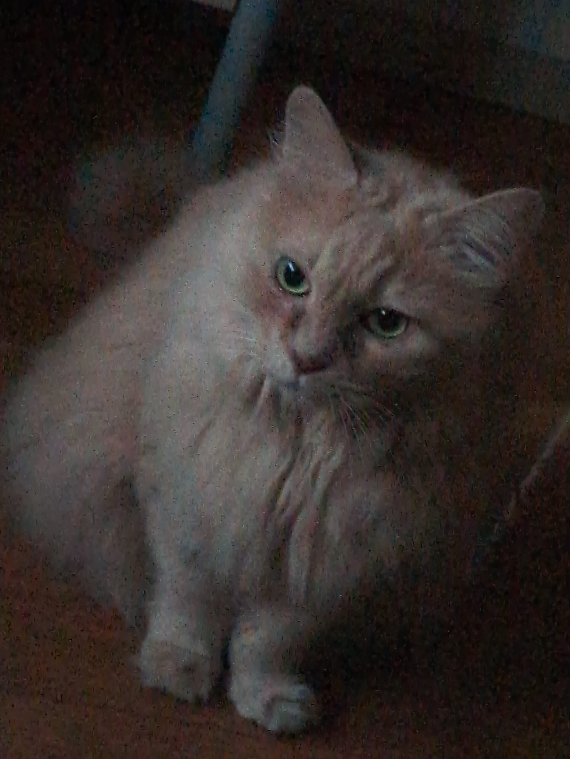 投稿サムネイル