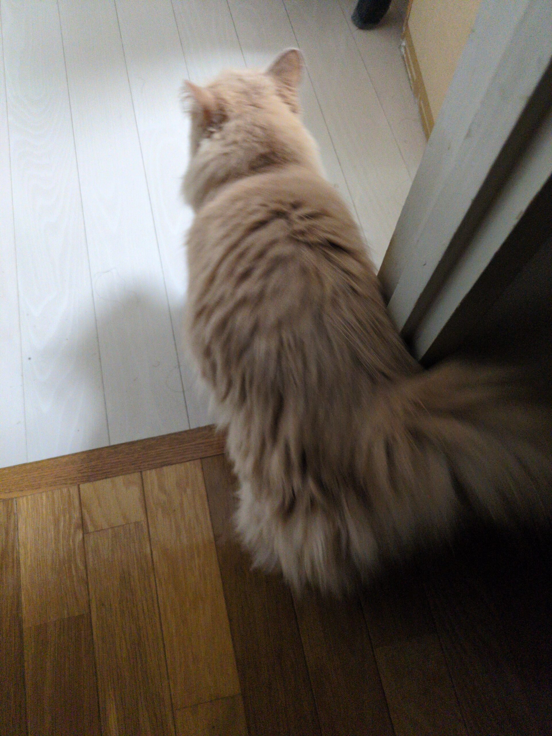 投稿サムネイル
