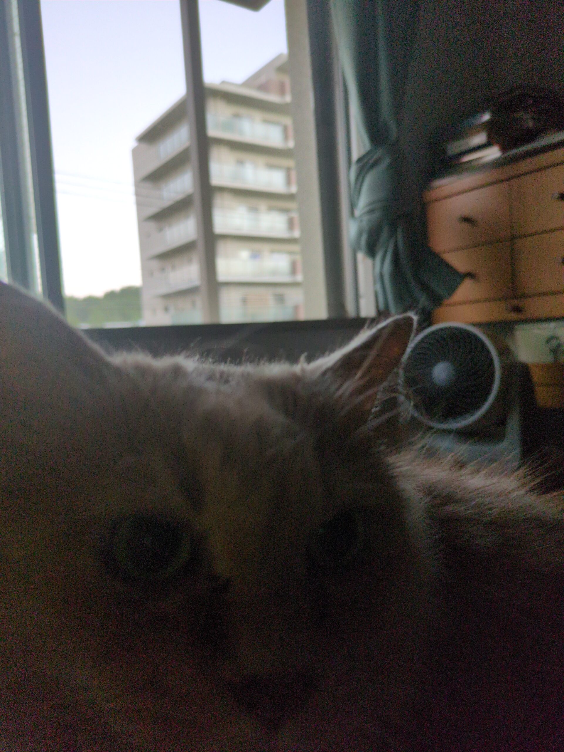 投稿サムネイル