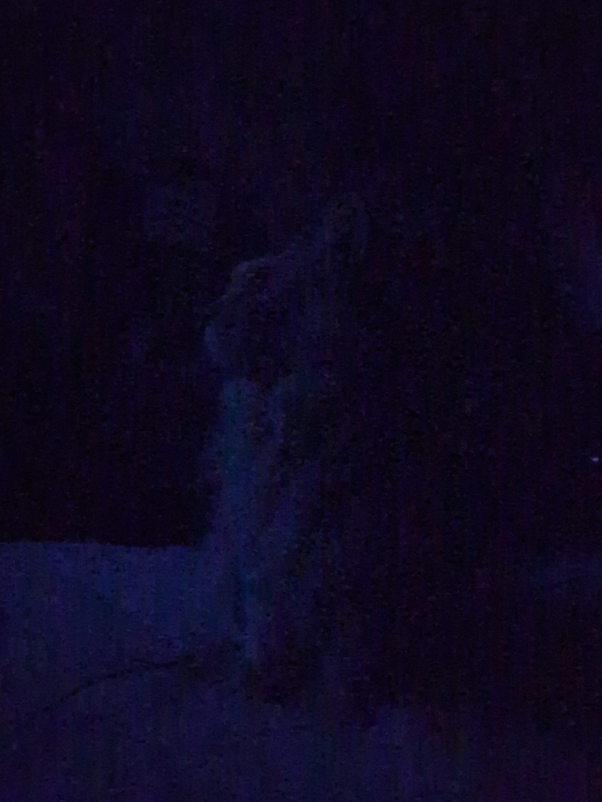 投稿サムネイル