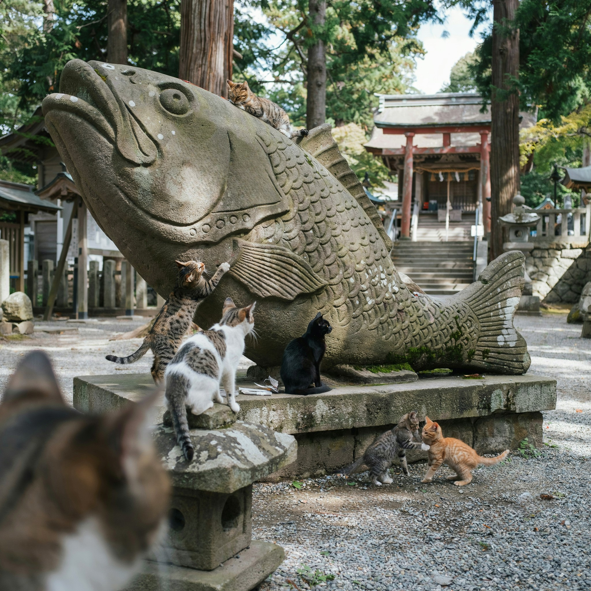 投稿サムネイル