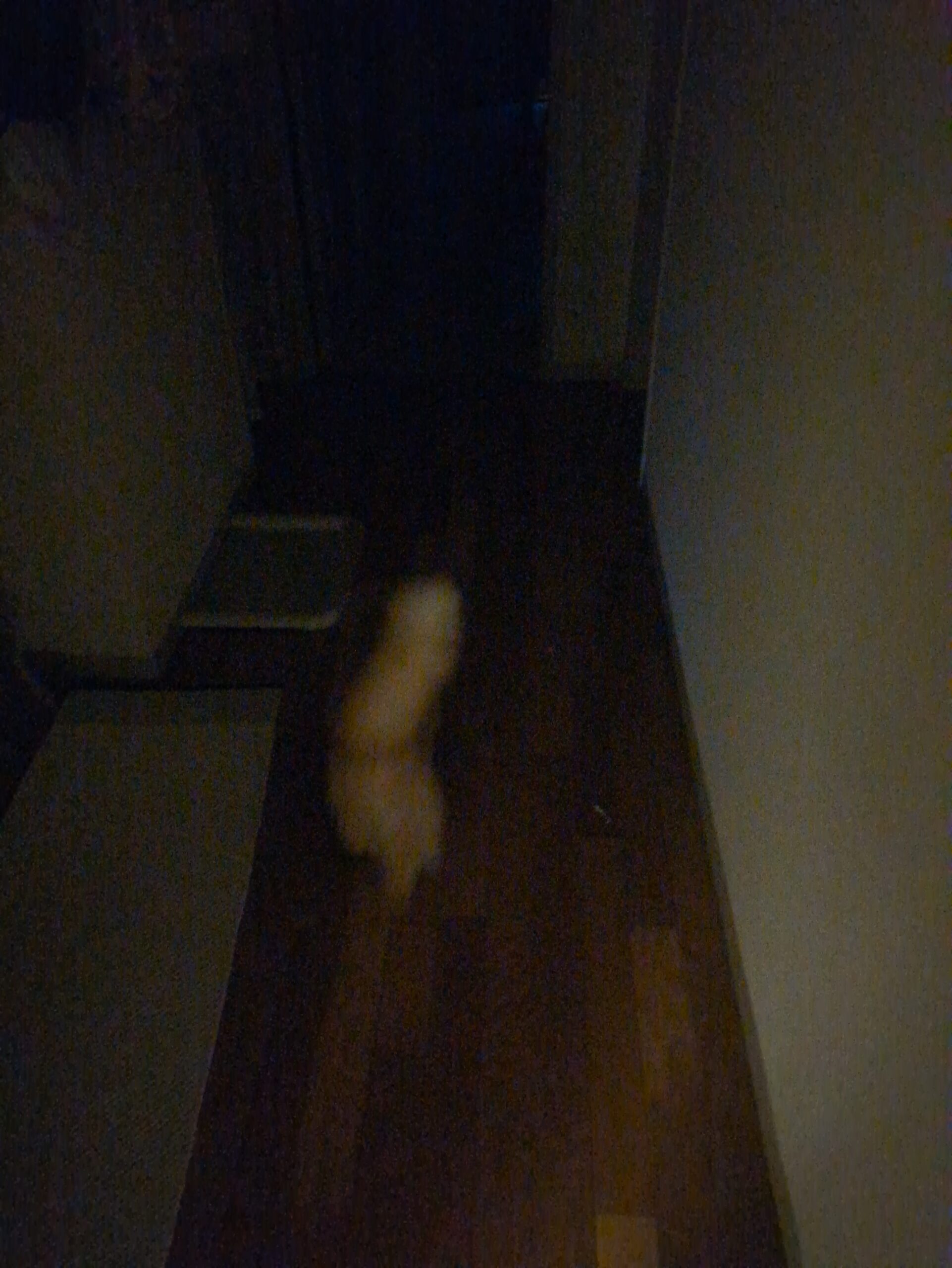投稿サムネイル