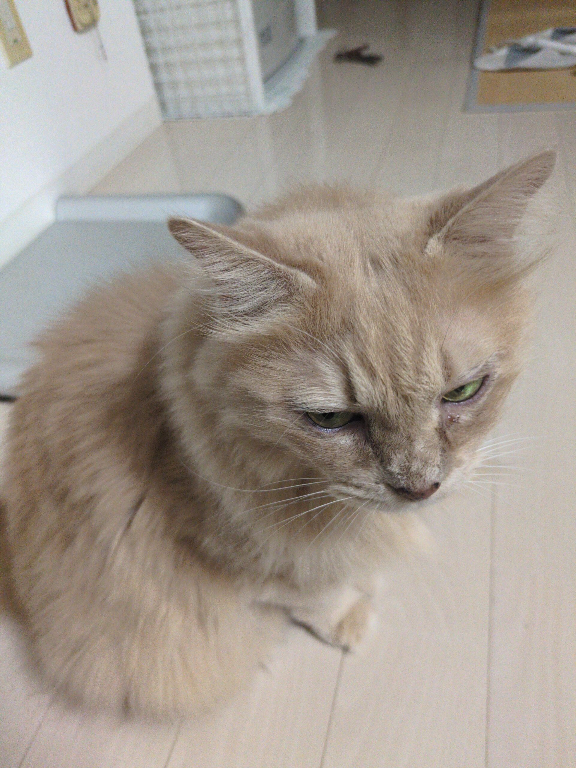 投稿サムネイル