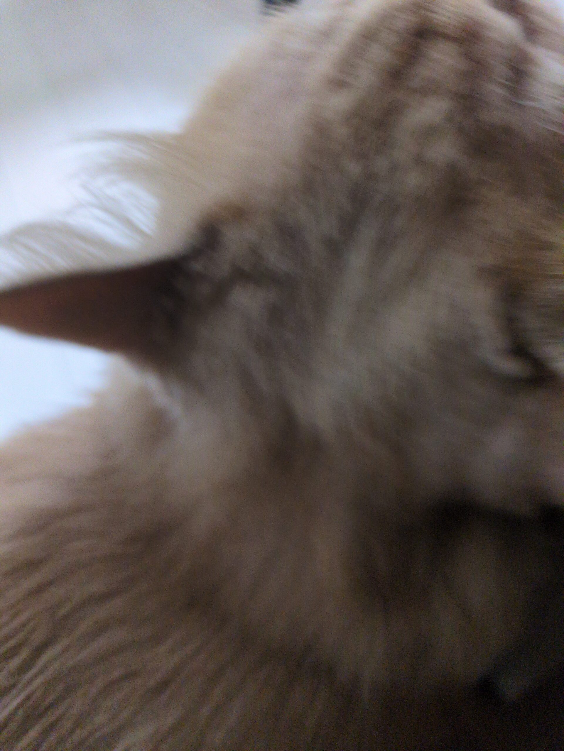 投稿サムネイル
