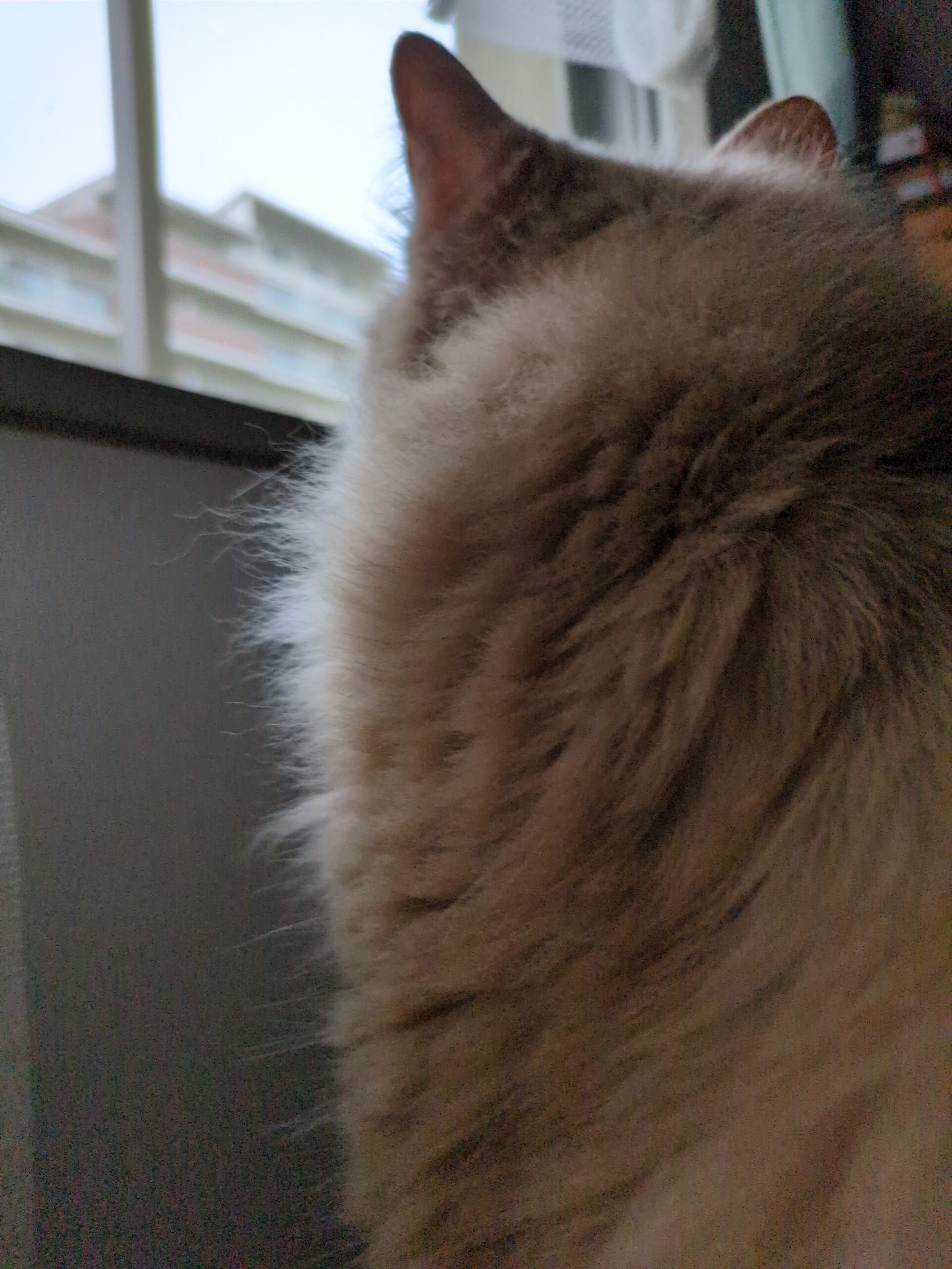 投稿サムネイル