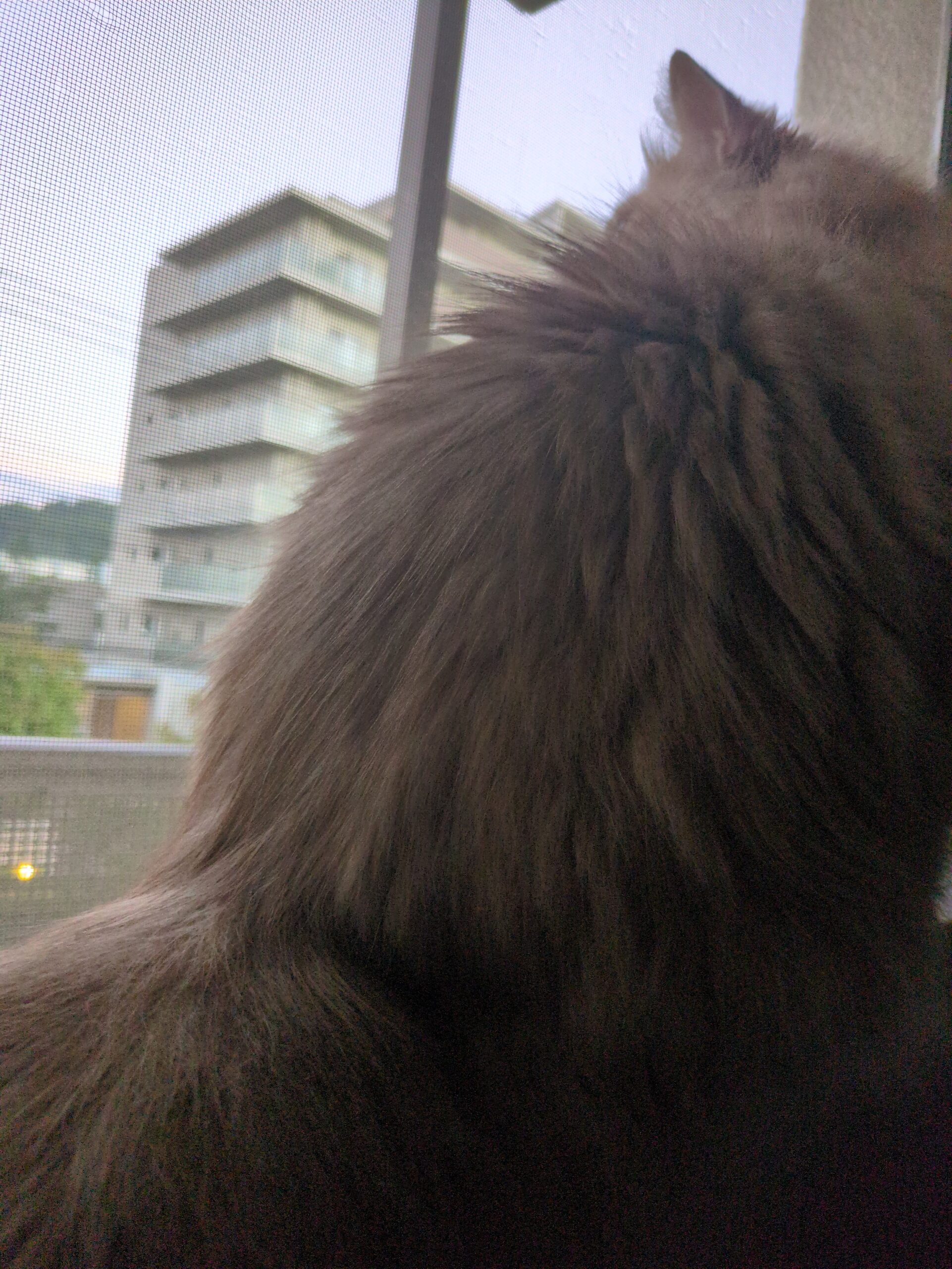 投稿サムネイル